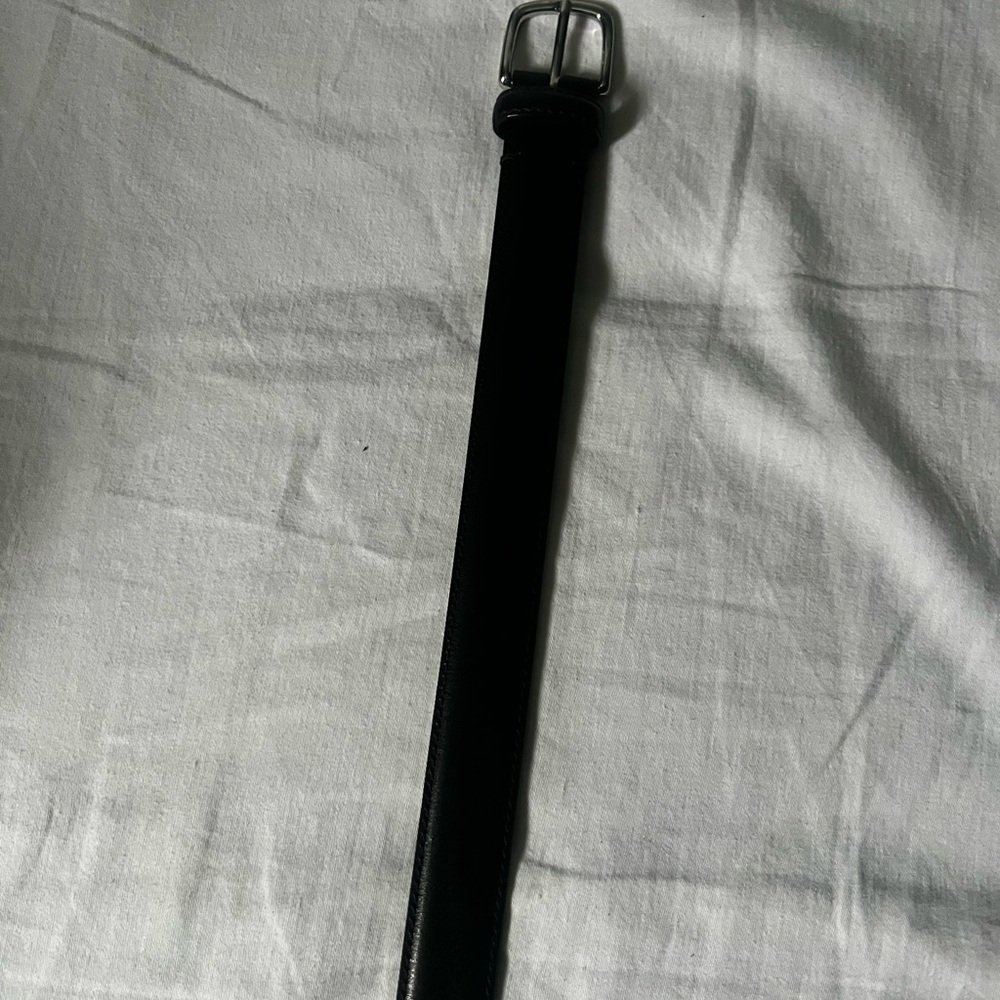 Aritzia Essential Black Leather Belt